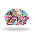 Candy, Cats and Cash