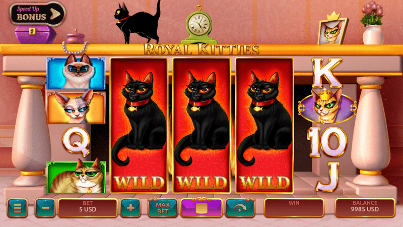 Only play royal kitties wild