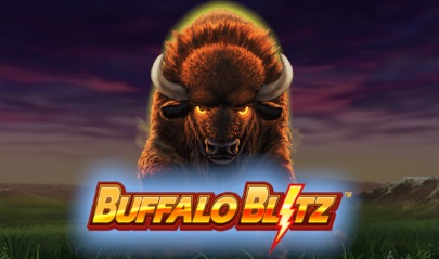 Buffalo Blitz  logotype