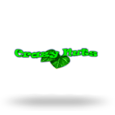Crazy Nuts logotype