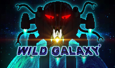Wild Galaxy  logotype