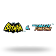Batman &amp; Mr Freeze Fortune