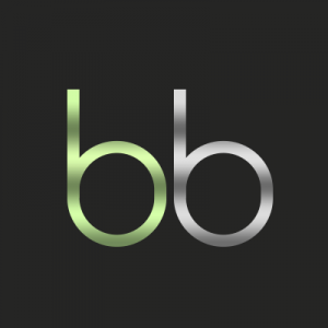 BetBoro Casino logotype