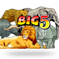 Big 5 logotype