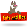 Cats &amp; Dog logotype