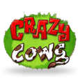 Crazy Cows logotype
