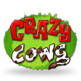 Crazy Cows