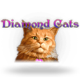 Diamond Cats logotype