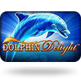 Dolphin Delight logotype