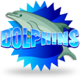 Dolphins logotype