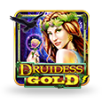 Druidess Gold logotype