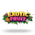Exotic Fruit logotype