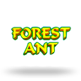 Forest Ant (discontinued)