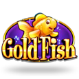 Gold Fish