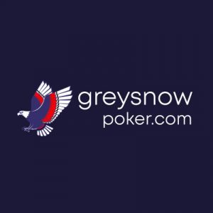 GreySnow Casino logotype