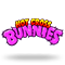 Hot Cross Bunnies logotype