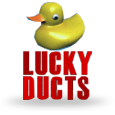 Lucky Ducts