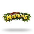 Meet The Meerkats logotype