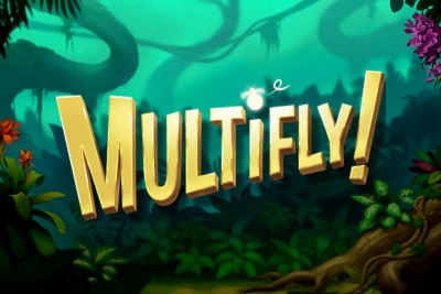 Multifly logotype