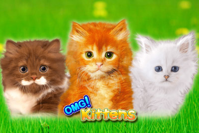 OMG! Kittens logotype