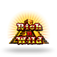Rich N Wild logotype