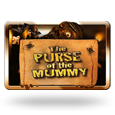 The Purse Of The Mummy