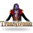 Transylvania logotype