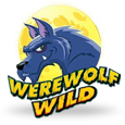 Werewolf Wild logotype