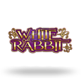 White Rabbit