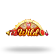 Wild Burning Wins: 5 lines logotype