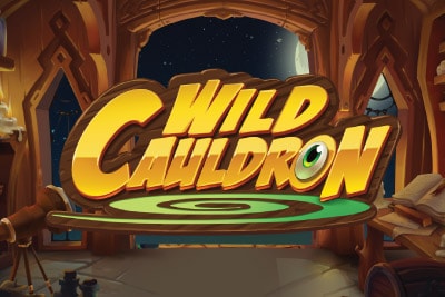 Wild Cauldron