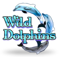 Wild Dolphins logotype