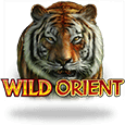 Wild Orient logotype