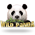 Wild Panda logotype