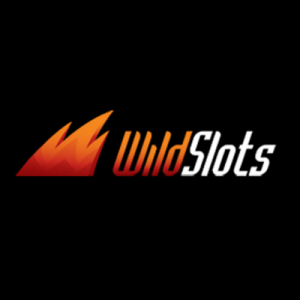 WildSlots Casino logotype