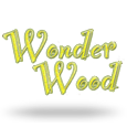 Wonder Wood logotype